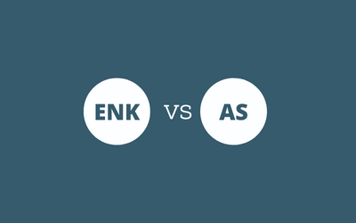 Enkeltforetak vs AS